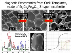 n�o existe legenda para esta imagem