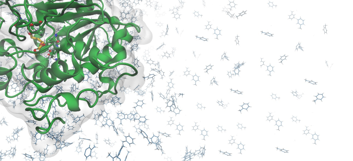Synthesis of Polycaprolatone by CalB