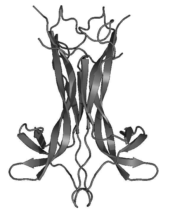16.png
