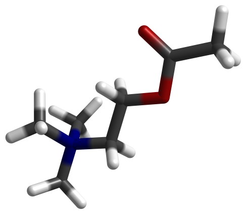 acetilcolina.jpg