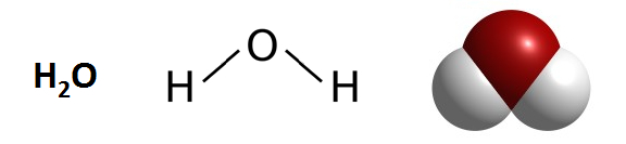 fig1.jpg