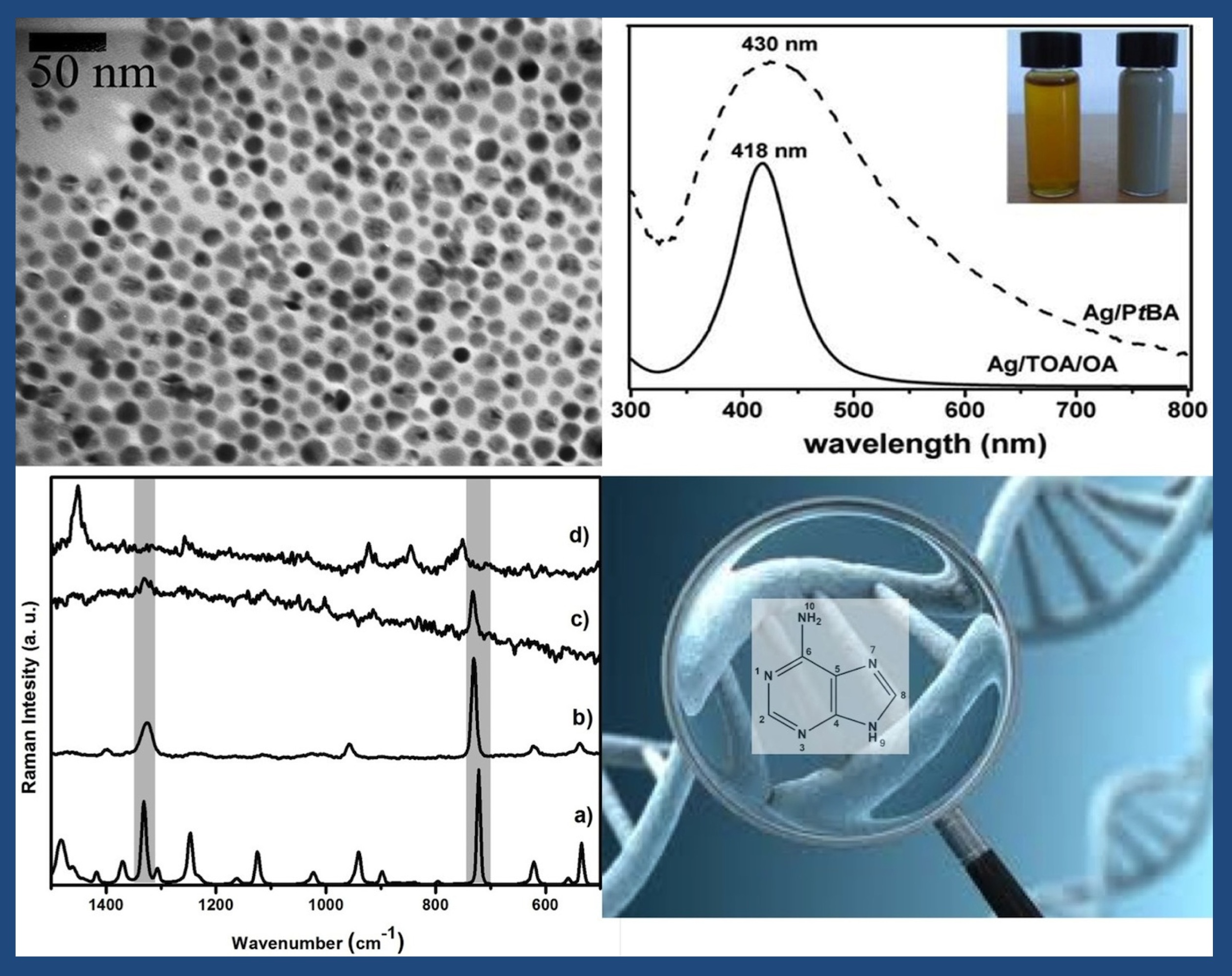 Silver and PtBA nanocomposites as new platforms for SERS analysis