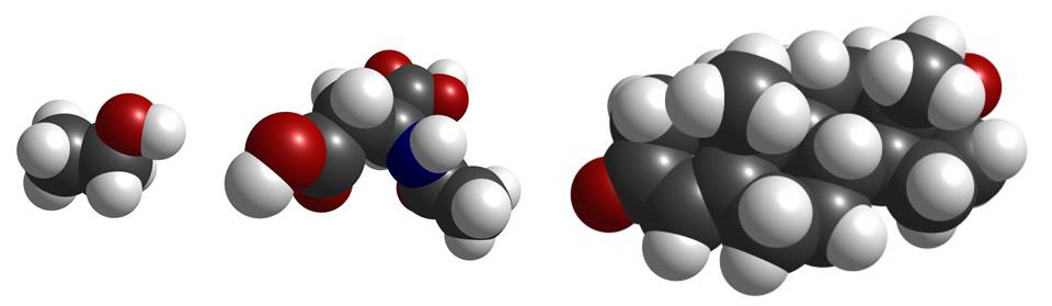 fig2.jpg