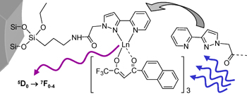 Ln complexes immobilized in MCM-41