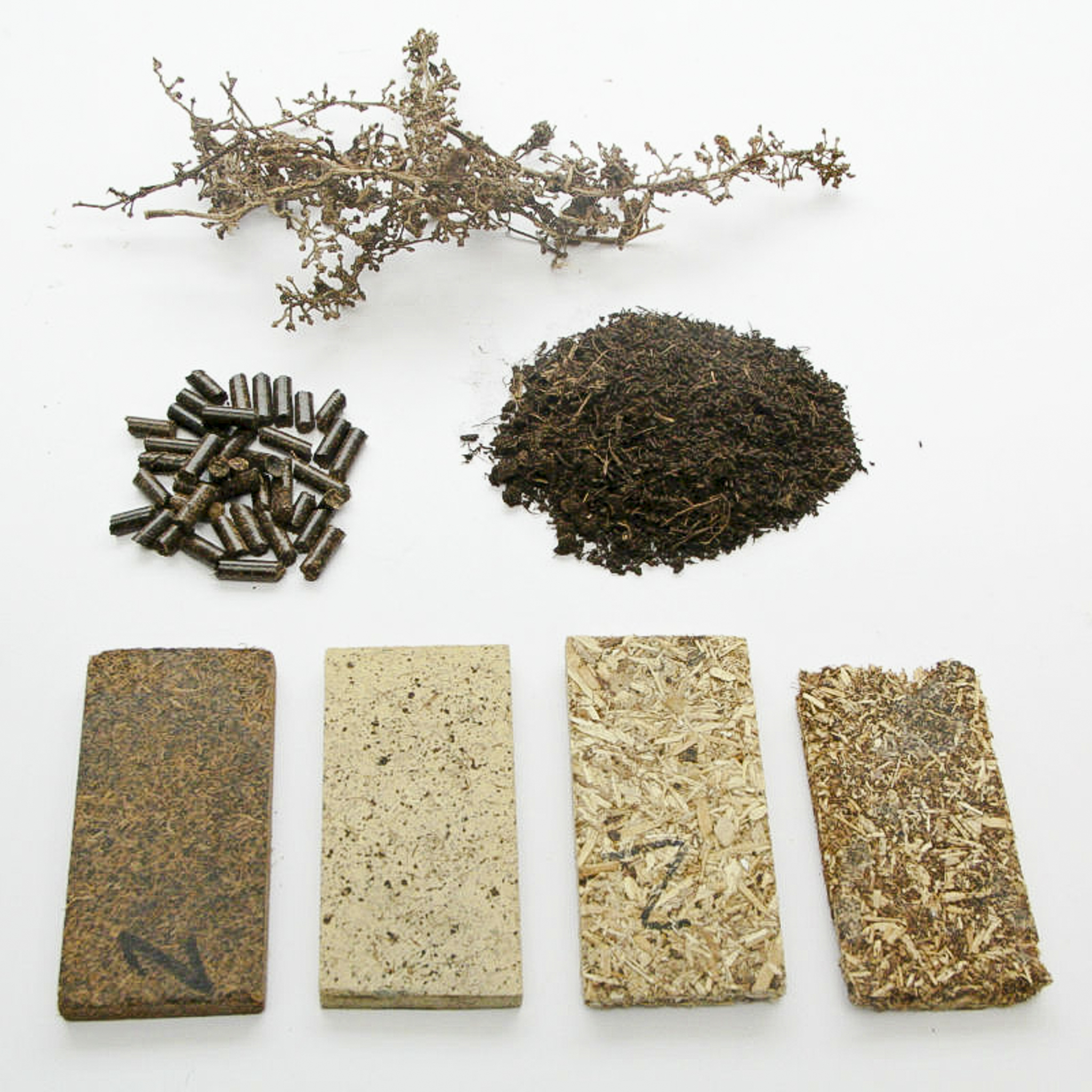 biocomposite materials based on by-products of the wine industry