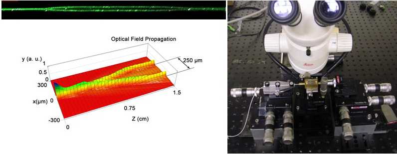 Optical Access Networks1