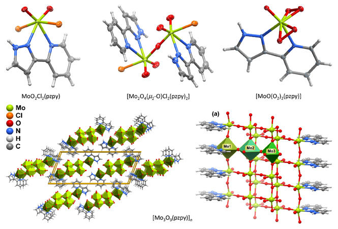 Oxomolybdenum-pyrazolylpyridine complexes and hybrid material