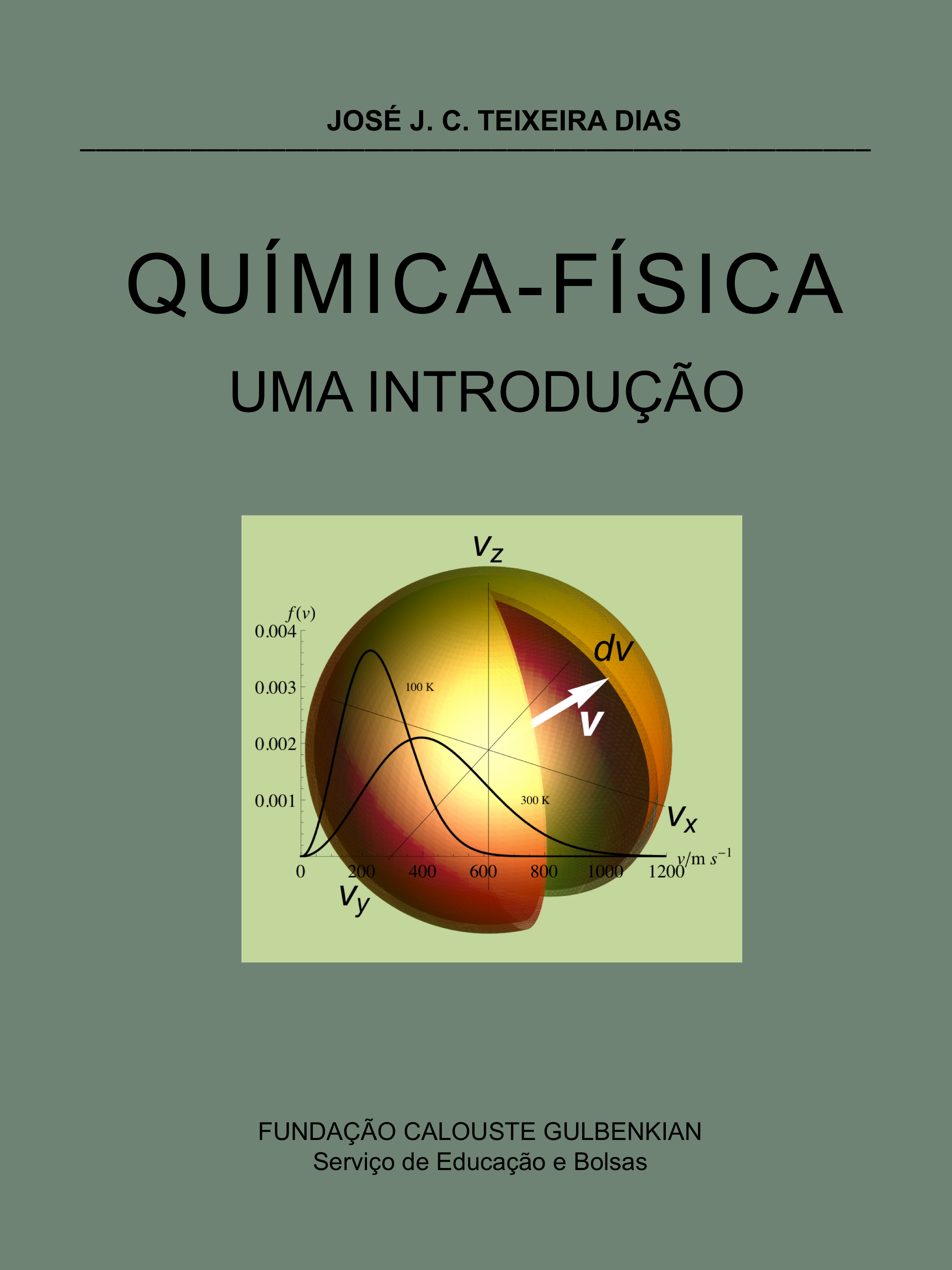 capa livro