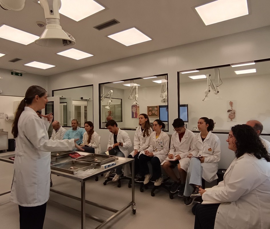 Image New Approach Methodologies take centre stage in international workshop