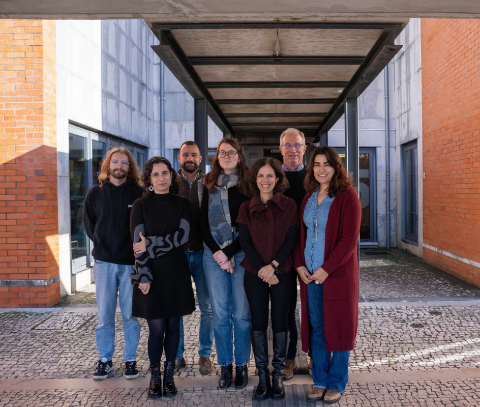 Image Researchers secure beamtime at Diamond Light Source for BetterBone project