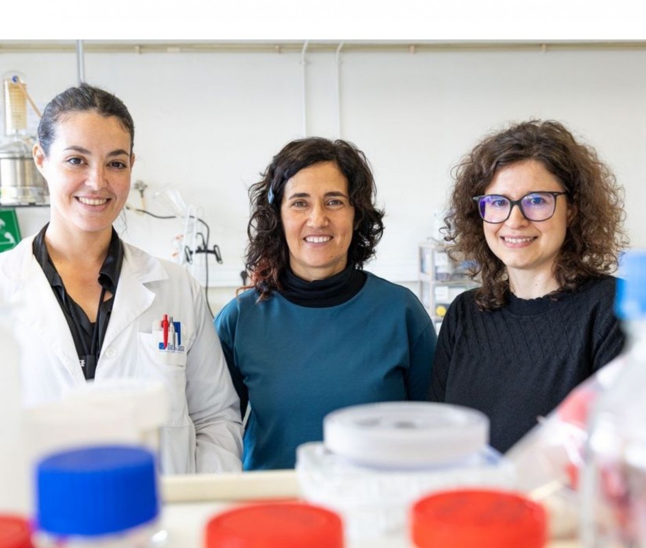 Image Onion Peel Gives Rise to Stronger and More Sustainable Bioplastics