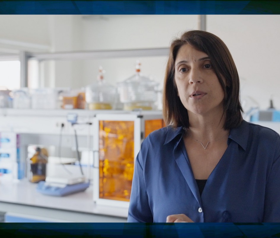 CICECO SPOTLIGHT: Carmen Freire explores biopolymers and bioactive molecules Image CICECO SPOTLIGHT: Carmen Freire explores biopolymers and bioactive molecules