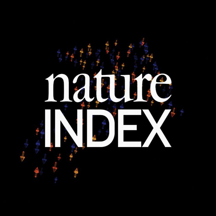 CICECO stands out in the “Nature Index 2020” Image CICECO stands out in the “Nature Index 2020”