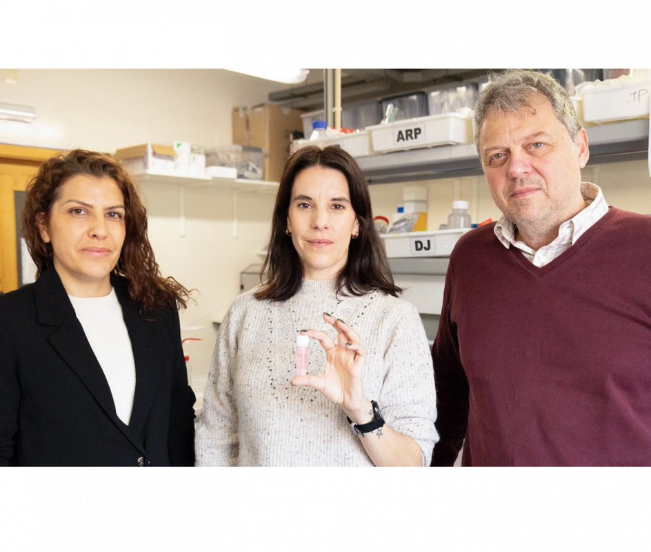 Image Biomaterial created with regenerative medicine and tissue engineering by CICECO