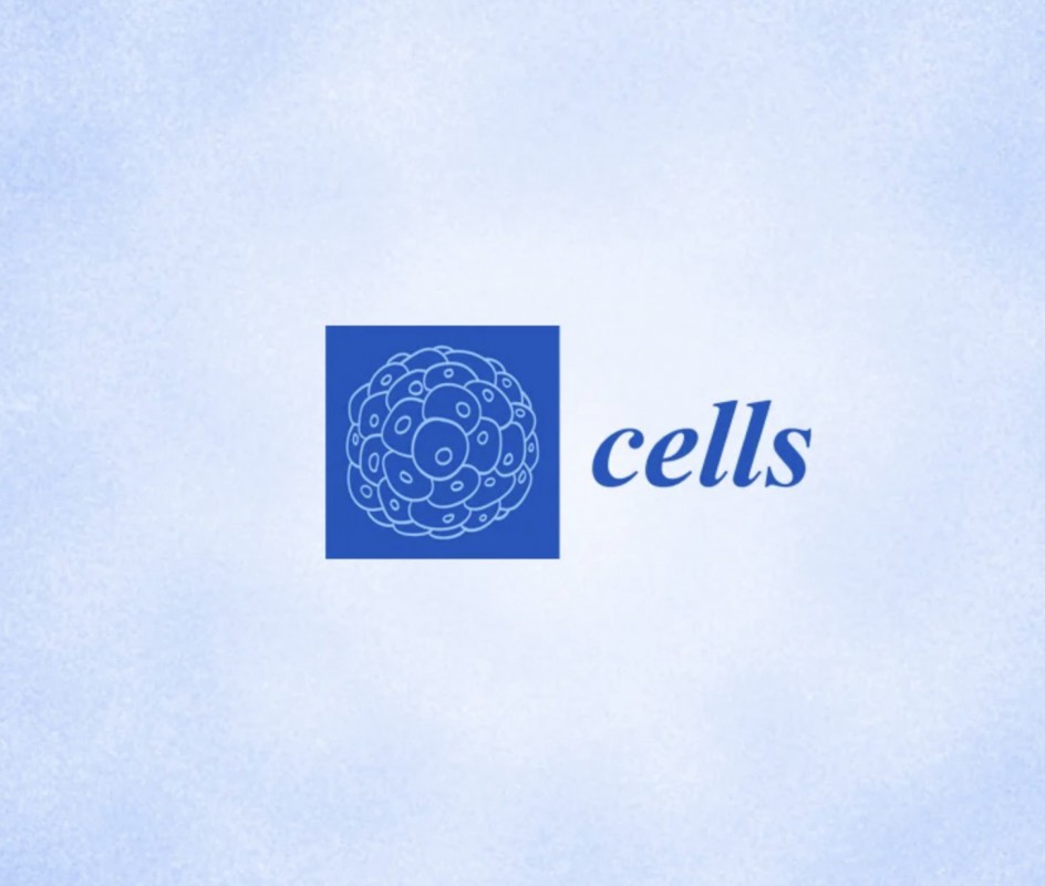 Image CICECO Researcher Daniela Bispo Wins MDPI Cells Best PhD Thesis Award