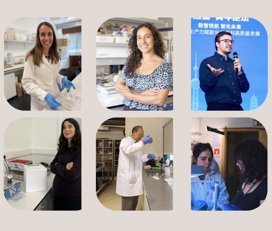 Image FCT-CEEC Individual: CICECO secures 12 individual research contracts