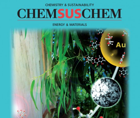 Paper highlighted in ChemSusChem Paper highlighted in ChemSusChem