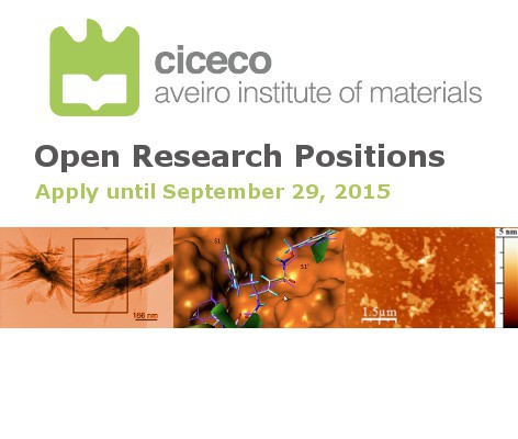 Concurso aberto: contratação de 3 Investigadores Image Concurso aberto: contratação de 3 Investigadores