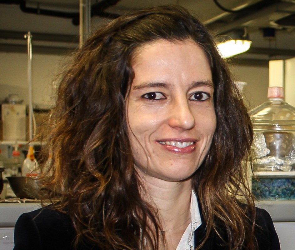 Andreia Sousa lidera ação COST para desenvolver plásticos sustentáveis Andreia Sousa lidera ação COST para desenvolver plásticos sustentáveis