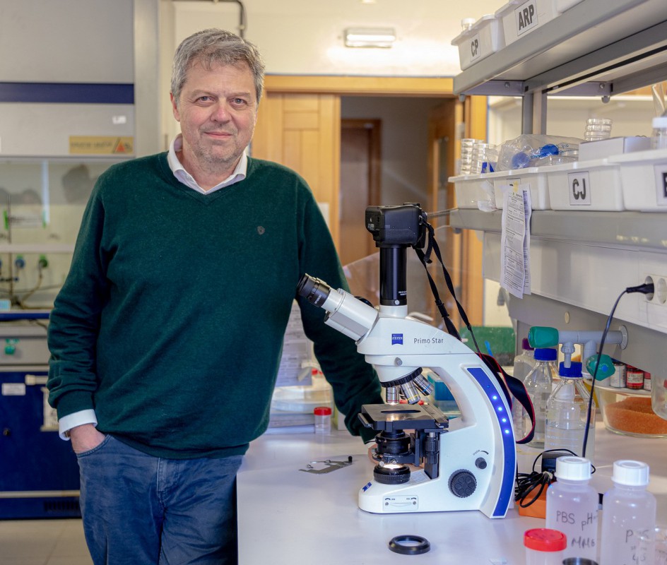 Image Ten million euros to study cells that architect biomaterials