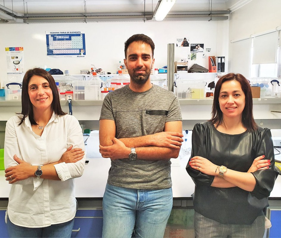 New biobased material for myocardial regeneration applications Image New biobased material for myocardial regeneration applications