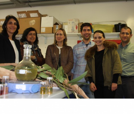 Green synthesis of metal nanoparticles Green synthesis of metal nanoparticles