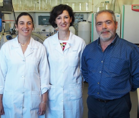 New bone cement enhances treatment of vertebral fractures New bone cement enhances treatment of vertebral fractures