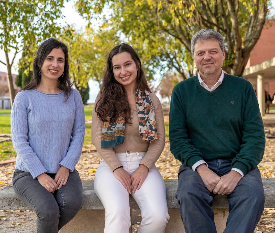Novo biomaterial capaz de modular o ambiente imunológico Novo biomaterial capaz de modular o ambiente imunológico