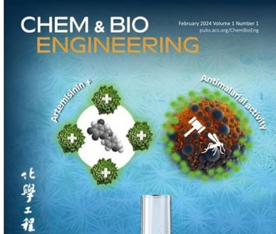 CICECO paper is selected as the cover of Chem & Bio Engineering Journal