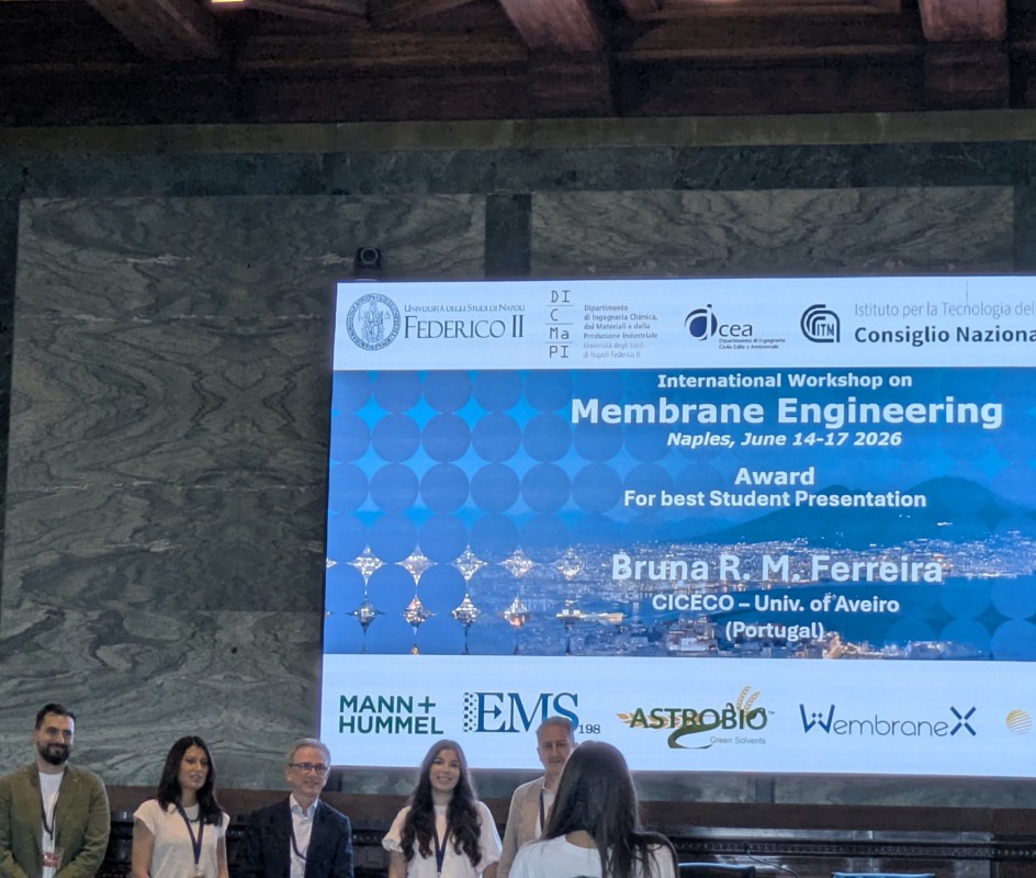 Image Bruna Ferreira receives Best Student Presentation Award at International Workshop
