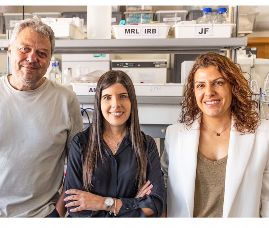 Image Julia Polak International Prize Recognises Doctoral Work in Biomaterials