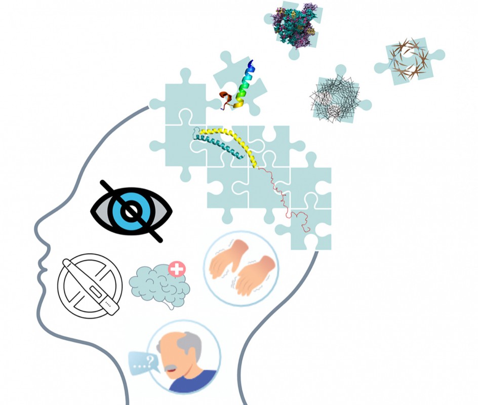 MOFs as Diagnostic Tools for Amyloid Diseases: Insights for Future Directions MOFs as Diagnostic Tools for Amyloid Diseases: Insights for Future Directions